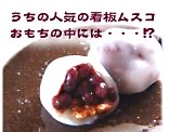 �����̐l�C�̊Ŕ��X�R�������̒��ɂ́E�E�E!?